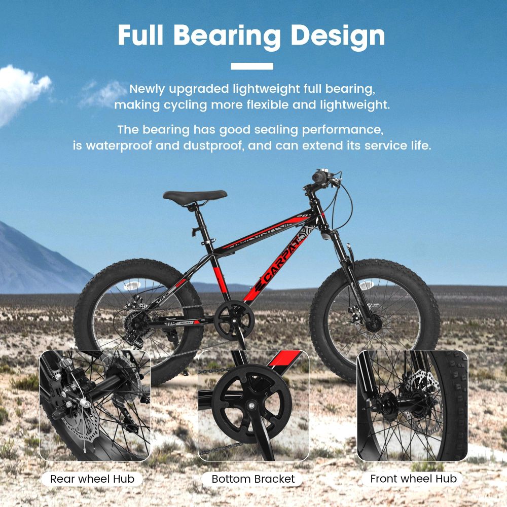 Bicicleta de montaña para niño - Mountain Biking For Kids reseña y precio