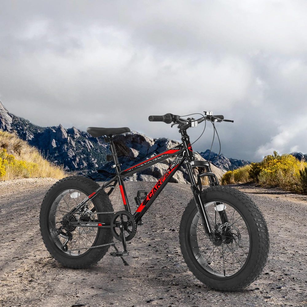 Bicicleta de montaña para niño - Mountain Biking For Kids reseña y precio